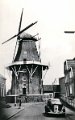 Molen Adam in de jaren 1950
